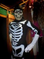 Skeleton