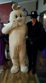 Plush Bunny