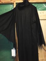 Black Ghost