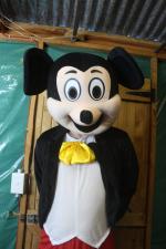 Mickey Mouse